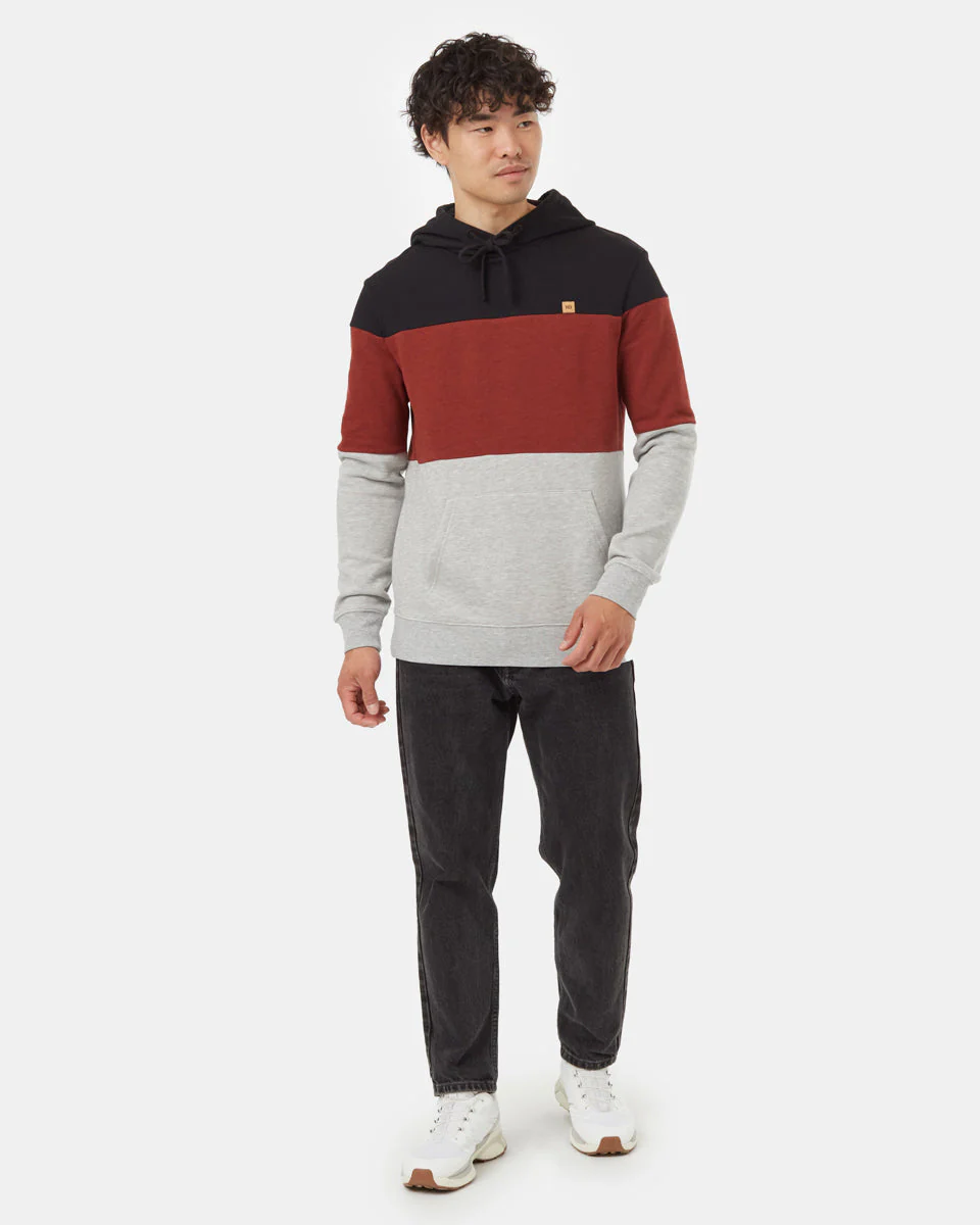 TreeFleece Blocked Reynard Hoodie - Image 2